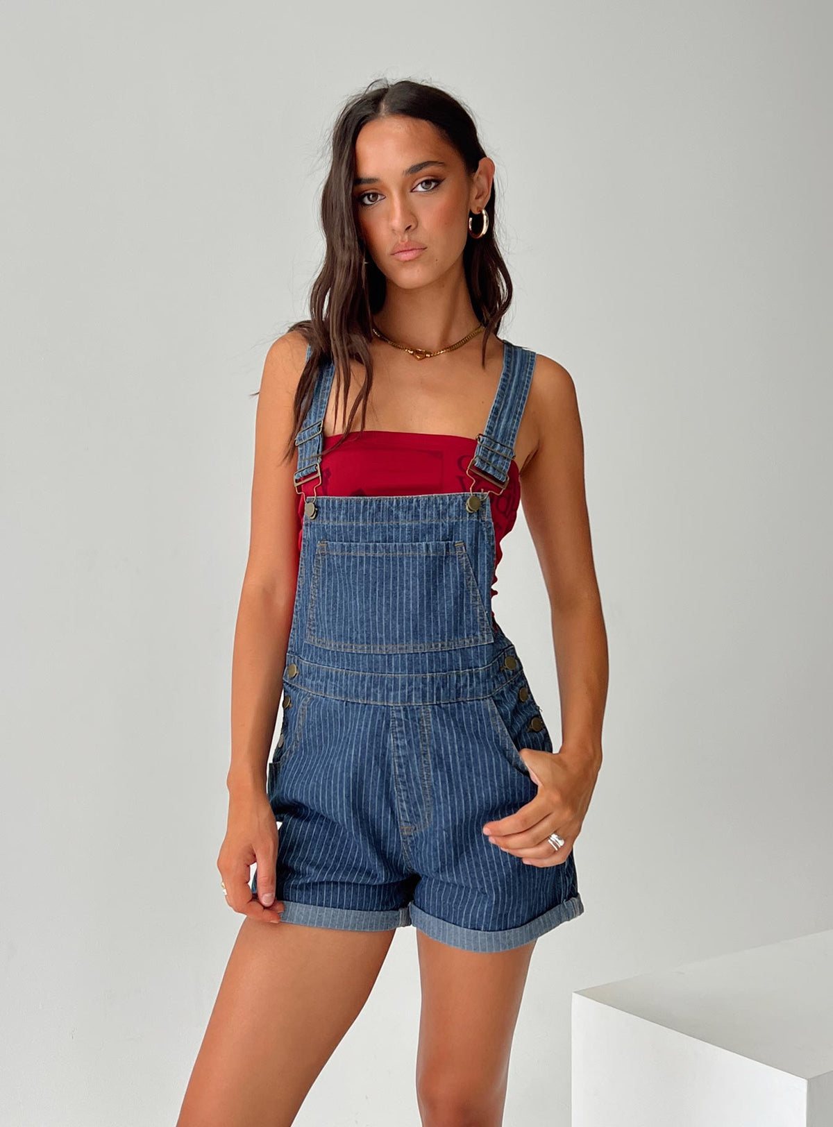 Blue Overalls Pinstripe print, gold-toned hardware, five pocket design, button fastening