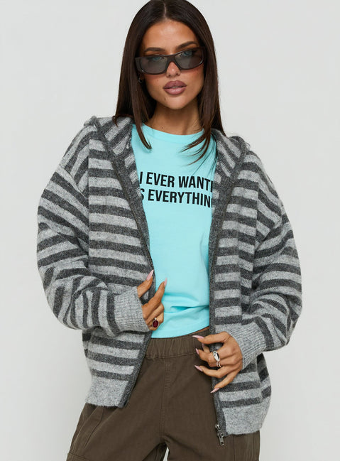 Featuring the Aubry Oversized True Knit Hoodie in Grey Stripe, a short length womens jumper with an oversized fit front view of model wearing Princess Polly