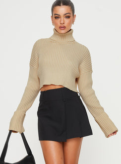 Kinzlee Mini Skirt Black Petite Mini Skirts Skirts 