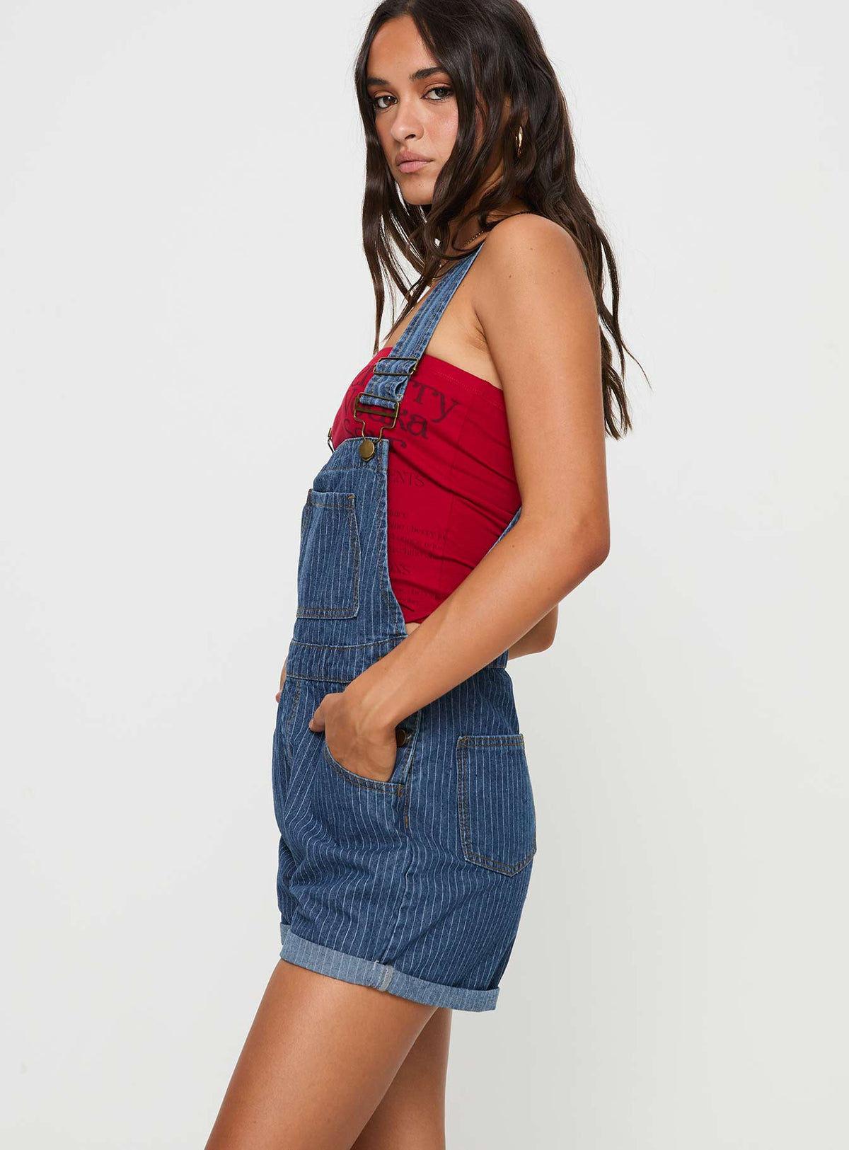 Blue Overalls Pinstripe print, gold-toned hardware, five pocket design, button fastening