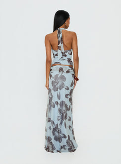 back view of model wearing Princess Polly Roselin Mesh Maxi Skirt Blue Floral Skirts 