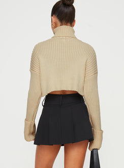 Kinzlee Mini Skirt Black Petite Mini Skirts Skirts 