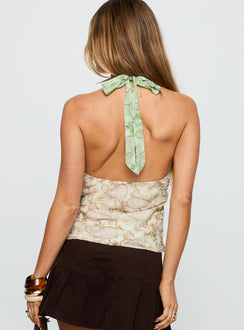 back view of model wearing Princess Polly Amalthea Top Multi Paisley Sleeveless Plunger 