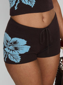 Surfer Girl Knit Shorts Brown / Blue