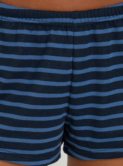 Delaeni Micro Fleece Shorts Blue Stripe