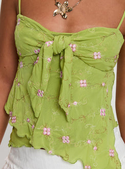 back view of model wearing Princess Polly Paislie Mesh Top Sage Green Sleeveless Sweetheart 