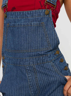 Blue Overalls Pinstripe print, gold-toned hardware, five pocket design, button fastening