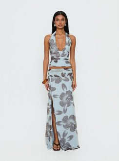   front view of model wearing Princess Polly Roselin Mesh Maxi Skirt Blue Floral Skirts 