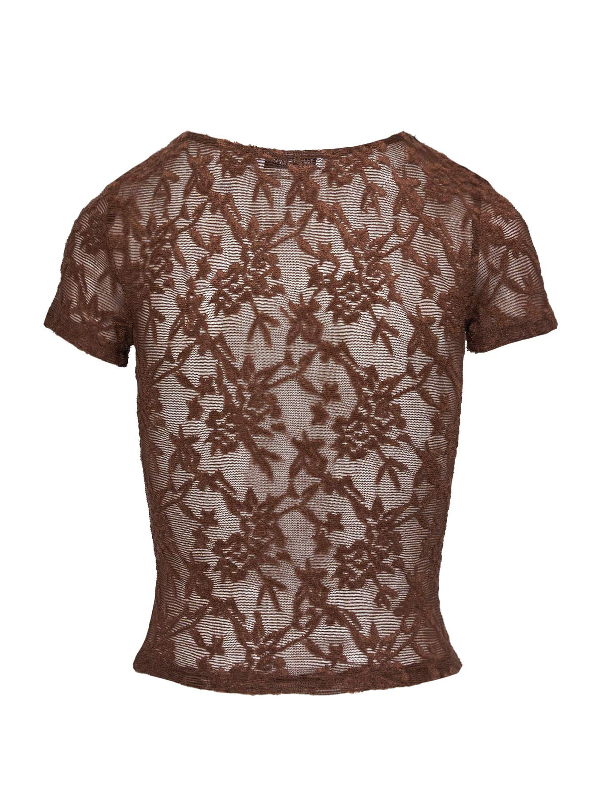 back view of model wearing Princess Polly Martine Sheer Short Sleeve Top Brown Short Sleeves Crew Neck 
