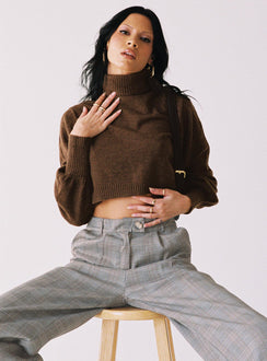 front view of model wearing Princess Polly Zahara Cropped Turtleneck Sweater Brown Cropped Jumpers Jumpers 