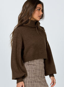side view of model wearing Princess Polly Zahara Cropped Turtleneck Sweater Brown Cropped Jumpers Jumpers 